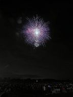 231028_174134