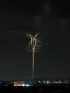 231104_193344