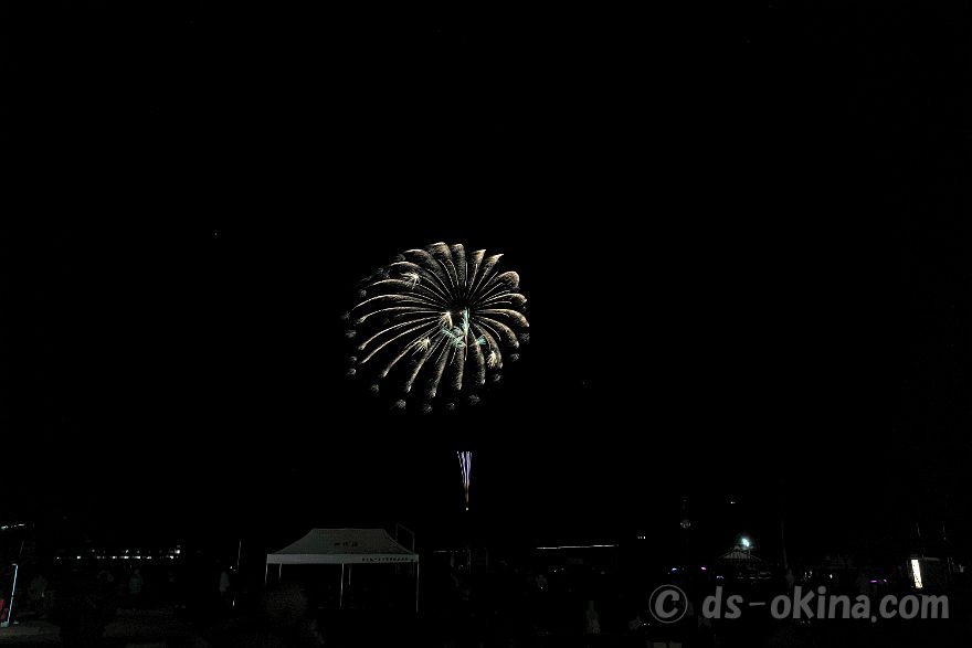 231111_181246.jpg