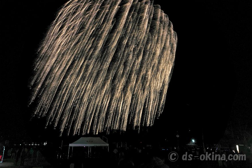 231111_182445.jpg