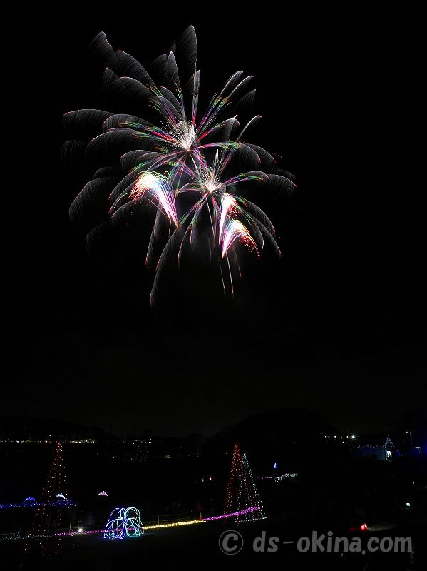 231119_175116.jpg