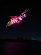 231123_174600