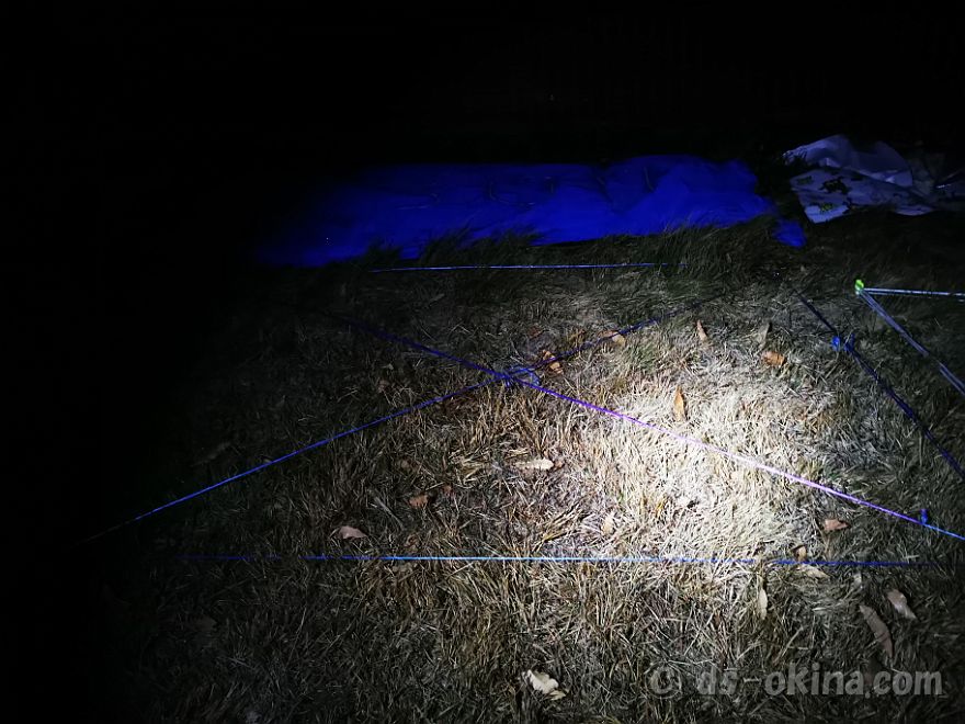 20231123_053736.jpg