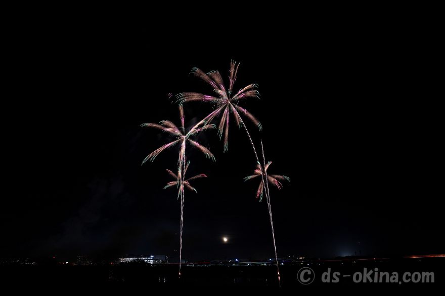 241117_180230.jpg