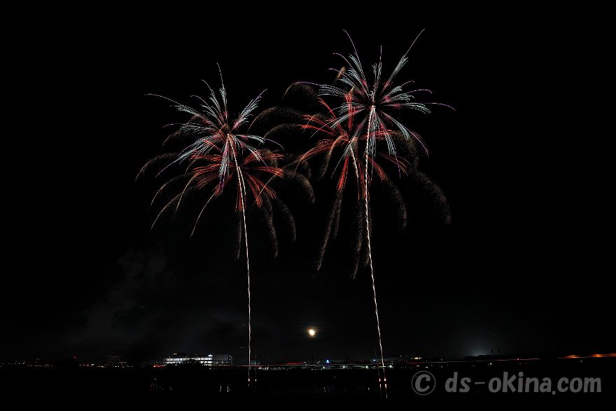 241117_180239.jpg