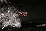 250330_190738