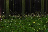 250718_2325-2534A6635