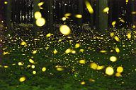 250719_2225-2545A6635