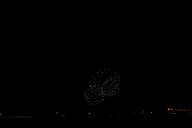 251011_184708