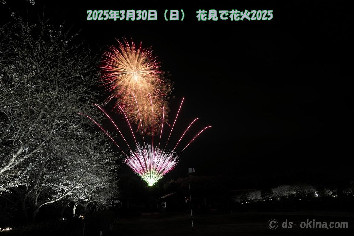 250330_190013.jpg