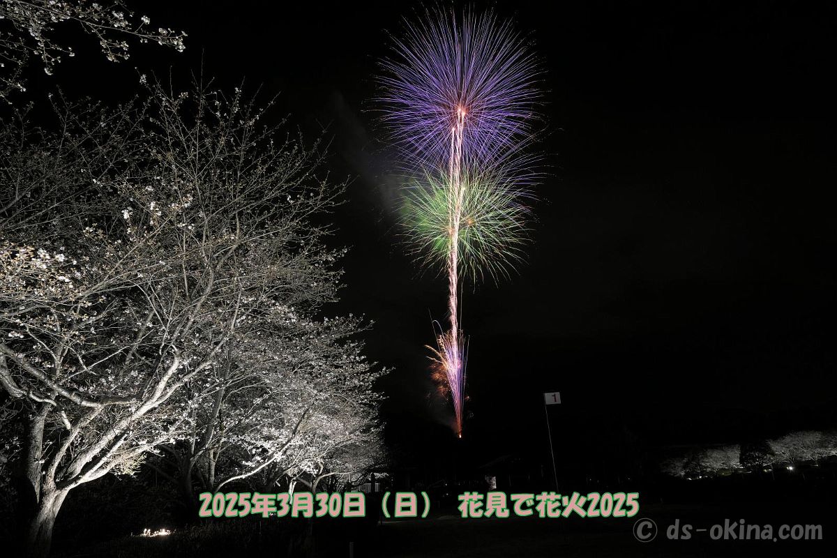 250330_191605.jpg