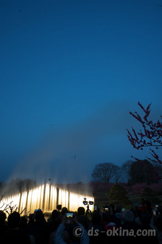 260321_180116.jpg