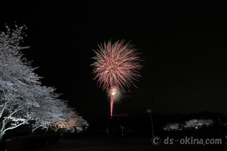 260405_191120.jpg
