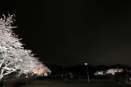 260405_192549