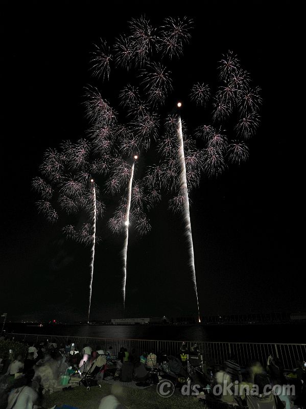 260726_204030.jpg