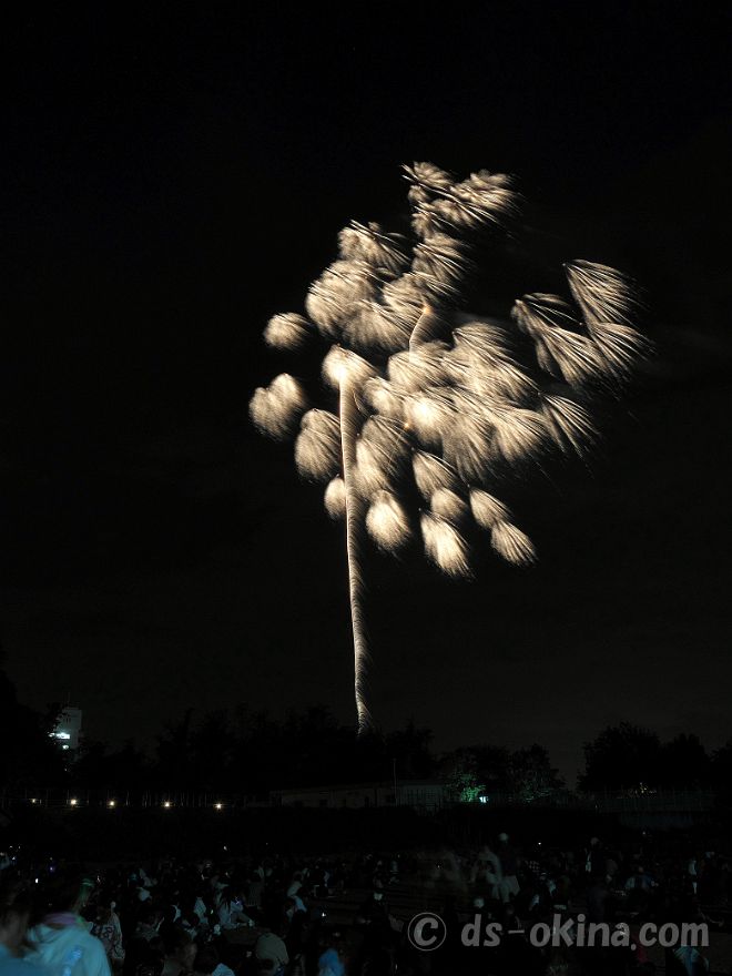261003_190612.jpg