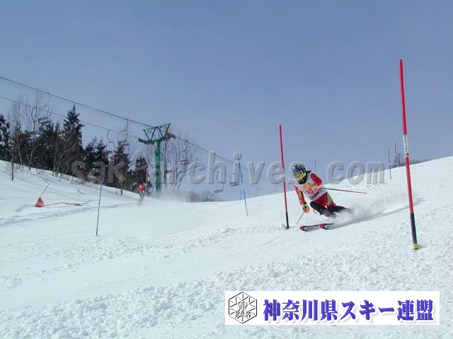 P1011246.jpg