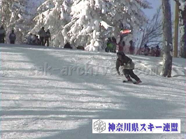 sk22.jpg