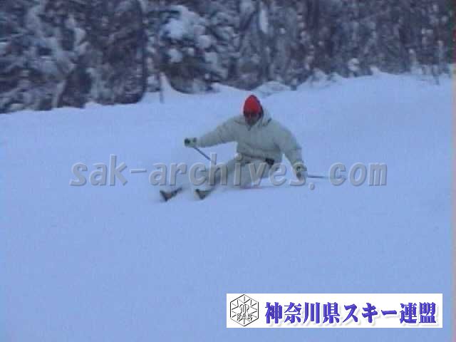 sk90.jpg