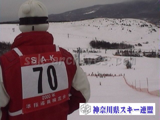j016.jpg