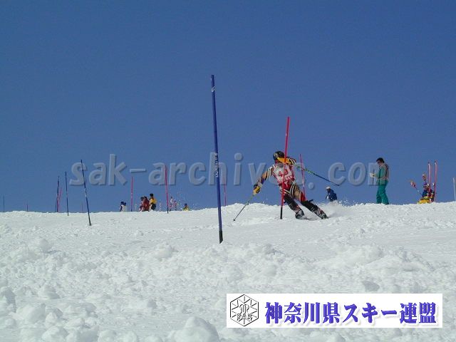 P1011427.jpg