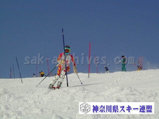 P1011428.jpg