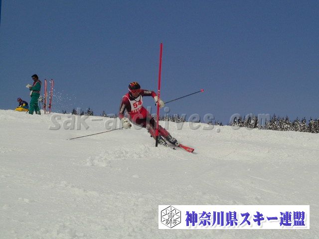 P1011437.jpg