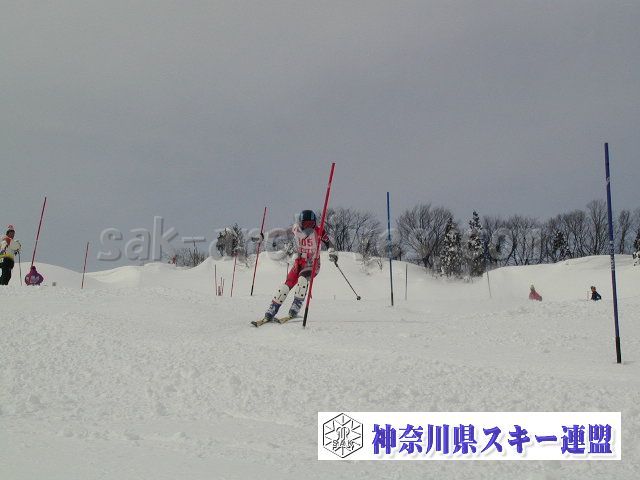 P1011452.jpg
