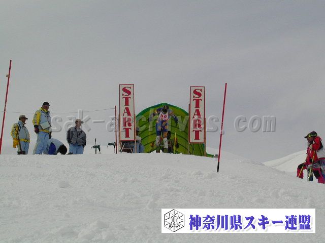 P1011463.jpg