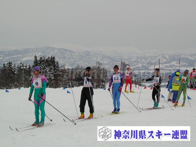 P1011504.jpg