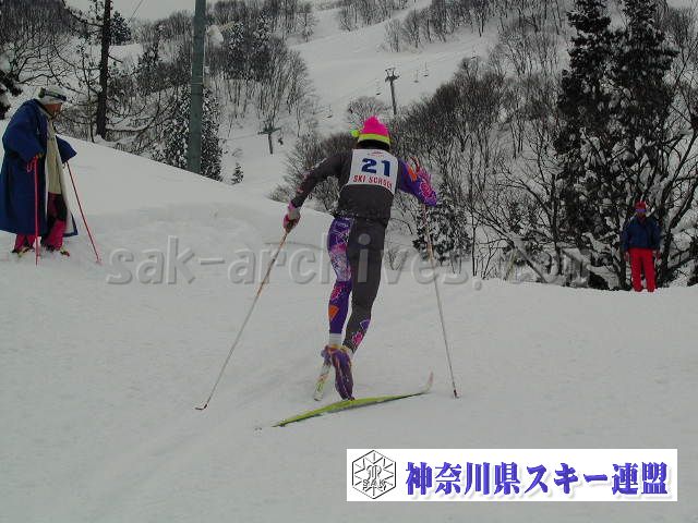 P1011522.jpg