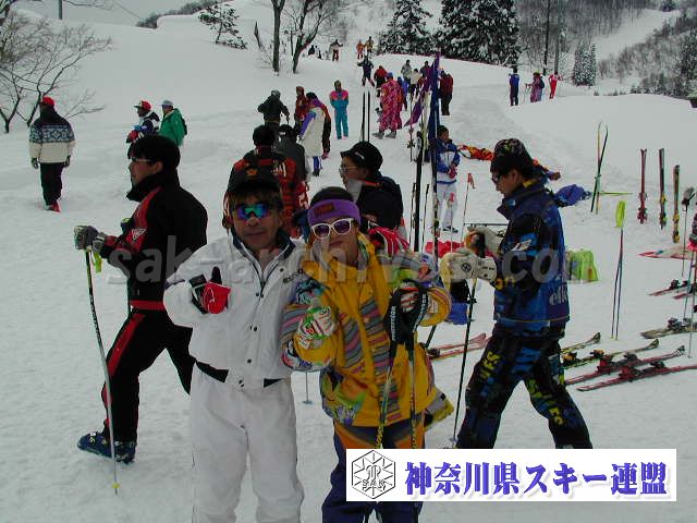 P1011524.jpg