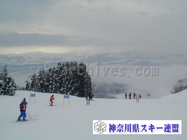 P1011551.jpg