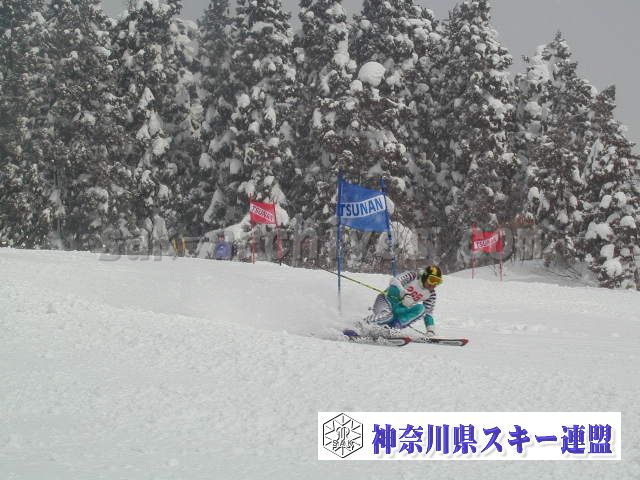 P1011595.jpg