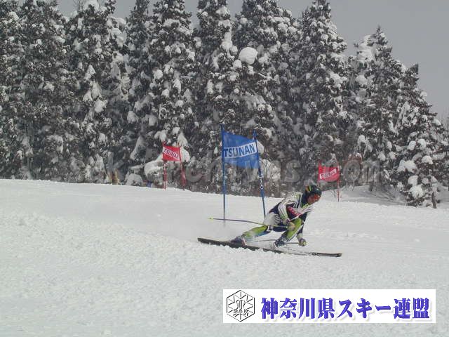 P1011597.jpg