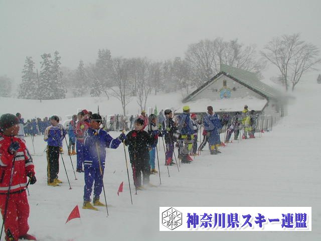 P1011634.jpg