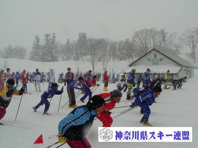 P1011635.jpg