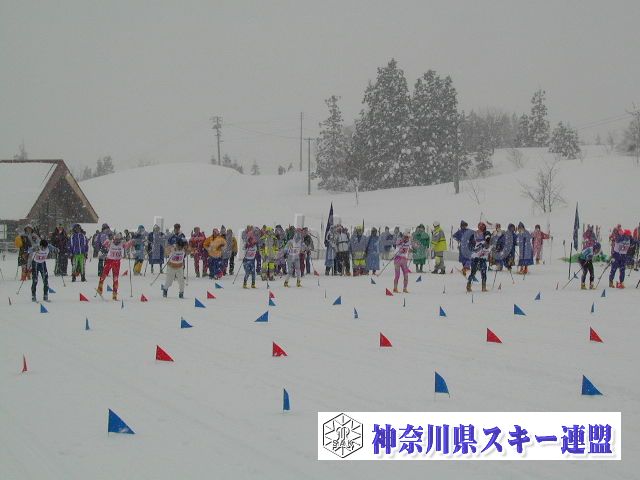 P1011638.jpg