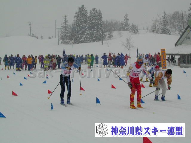 P1011639.jpg