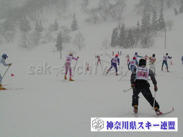 P1011640.jpg