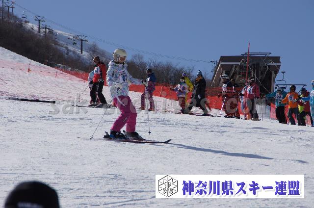 20110305_144041_1.jpg