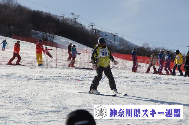 20110305_151155_1.jpg