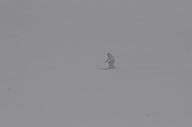 140228_112417_2