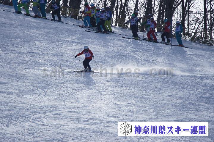 20170128_105347_0.jpg