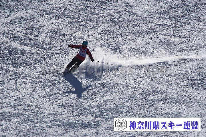20170128_105911_1.jpg