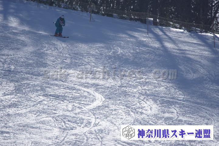20170128_110038_0.jpg