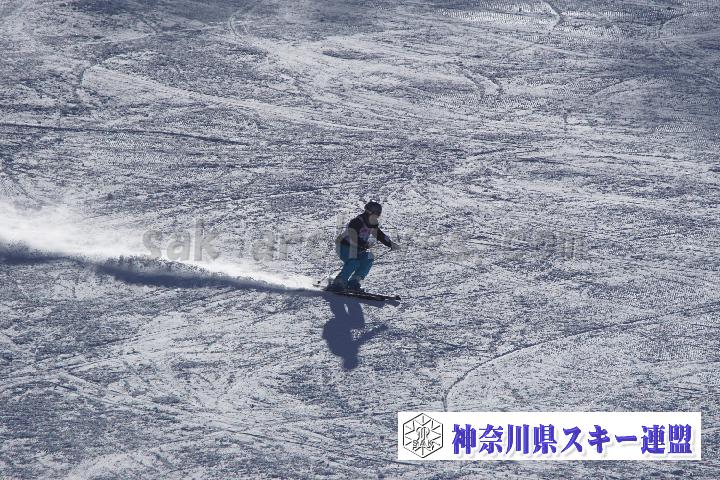 20170128_110149_0.jpg