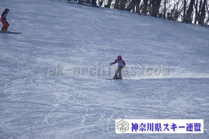 20170128_104502_1.jpg