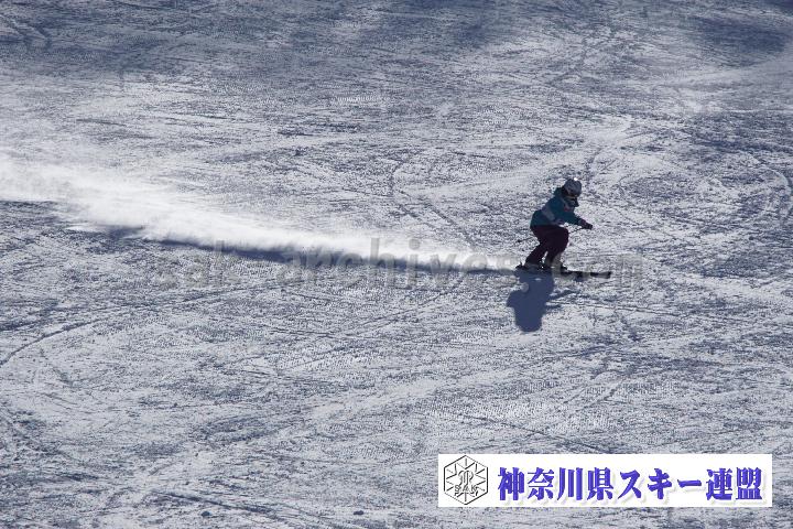 20170128_111931_1.jpg