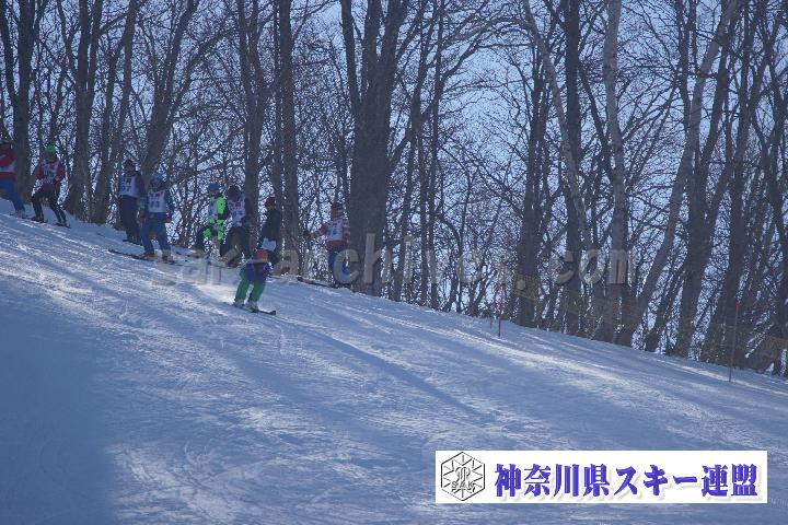 20170128_100453_1.jpg